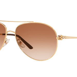 CARTIER CT0233S 003